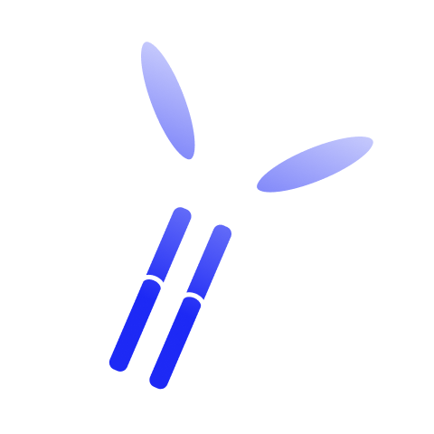 Icon 5